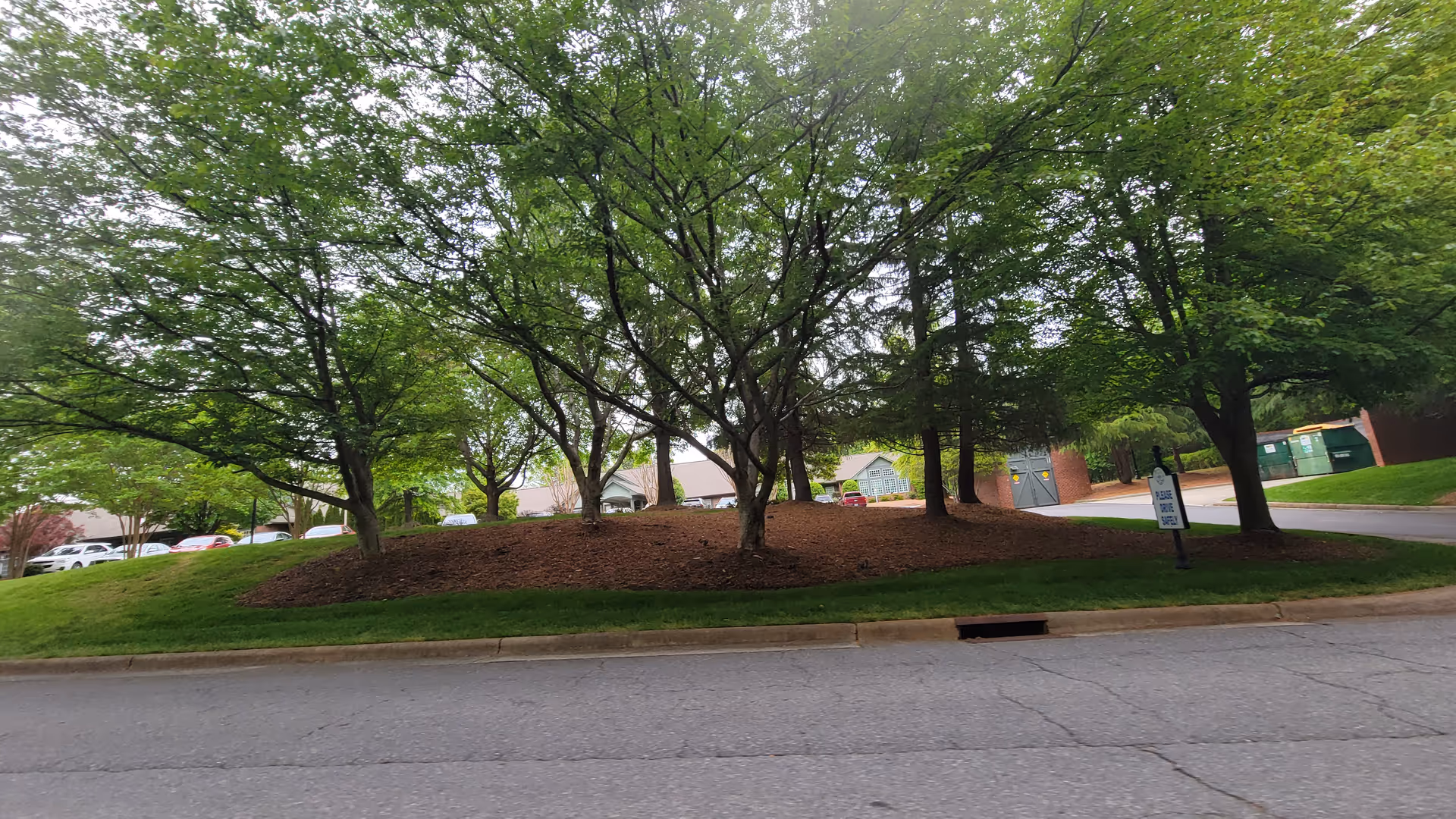 Tree-lined landscaped island with curb, road, and a building visible in the background.