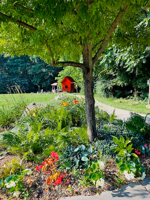 A lush garden with colorful flowers, a tree, and a small red playhouse in the distance.