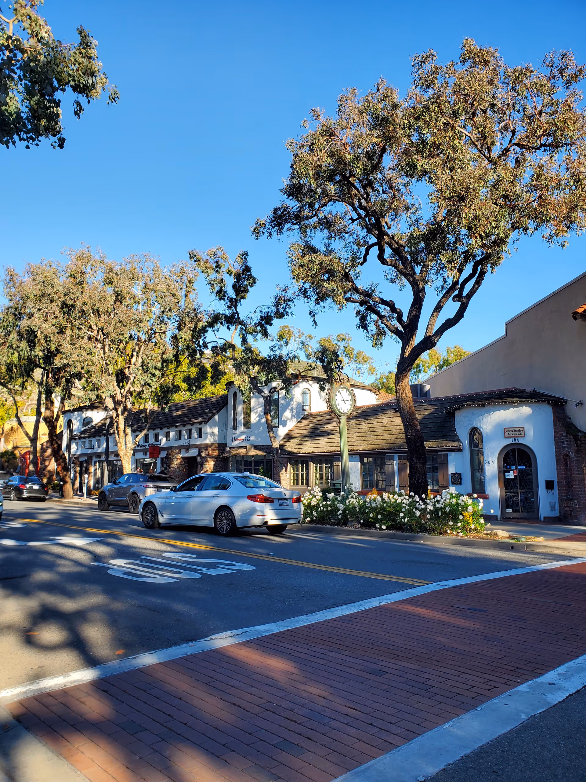 Sunny exterior street view of a senior living campus with storefronts, parked cars, trees, and flowers.