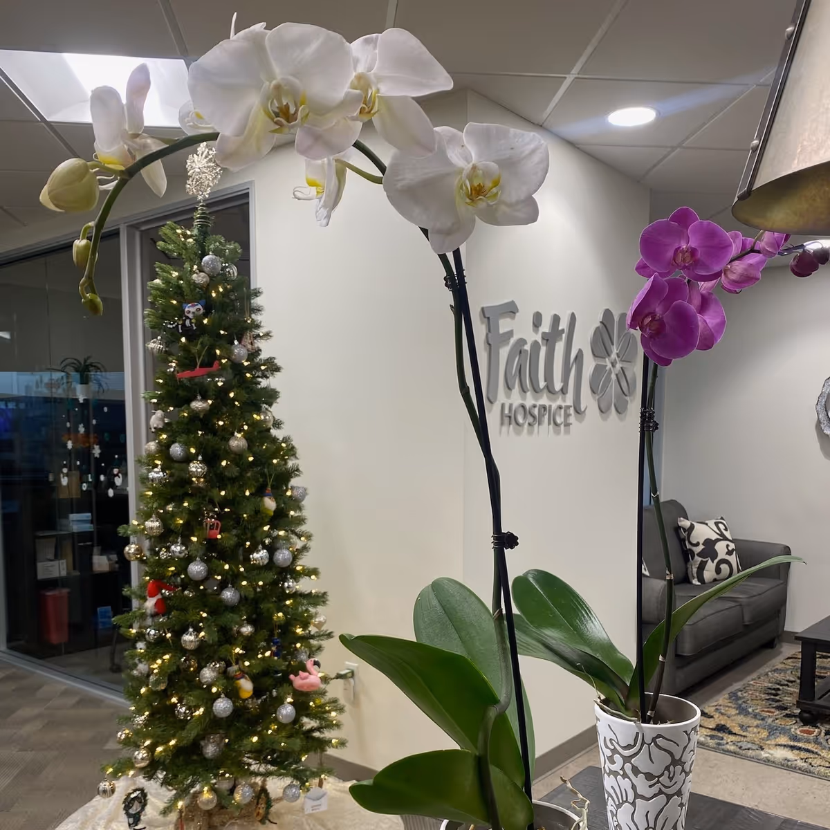 Lobby area with Christmas tree, blooming orchids, seating, and Faith Hospice signage.
