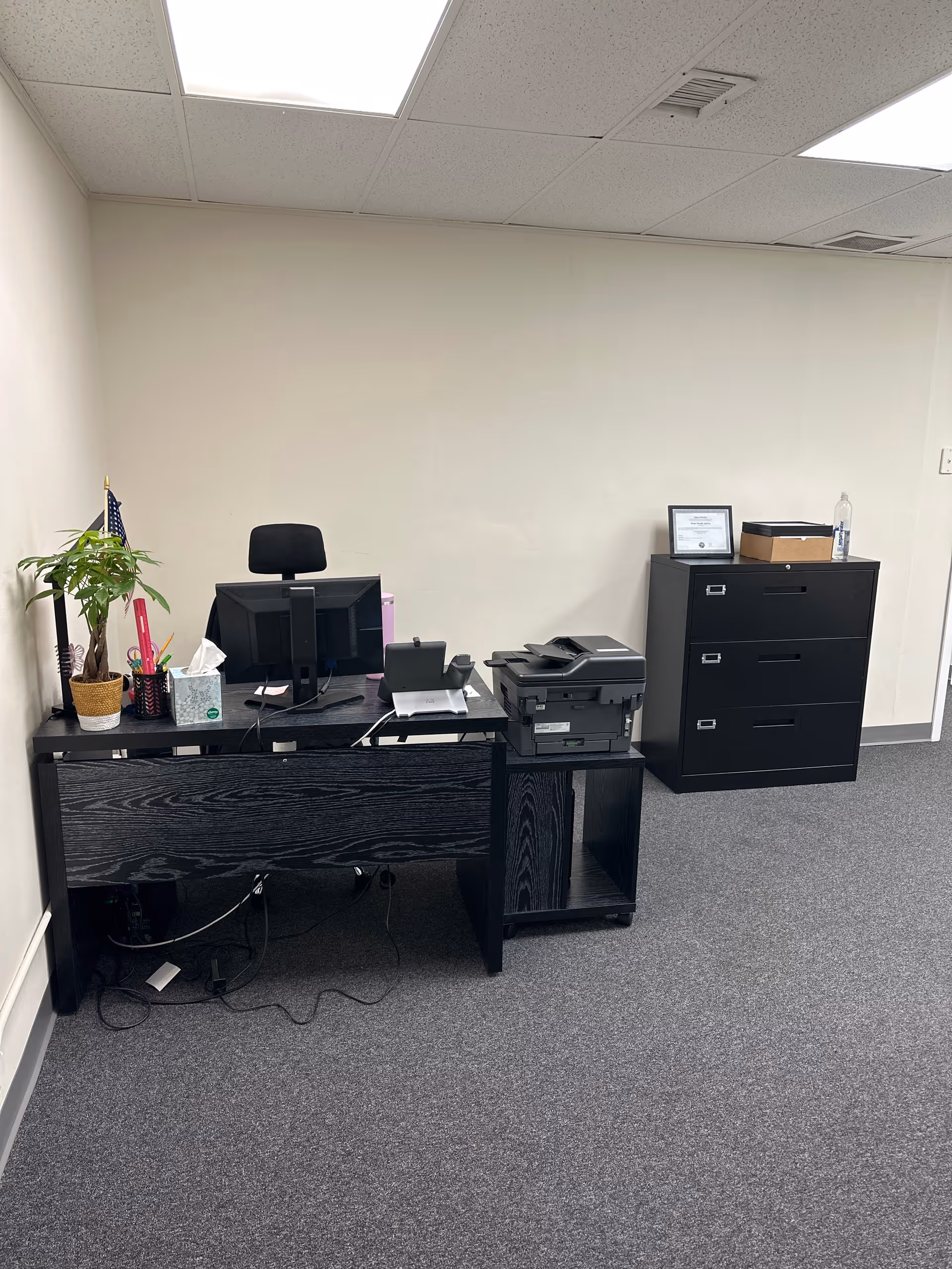 Office desk with computer, printer, filing cabinet, and potted plant in a small workspace.