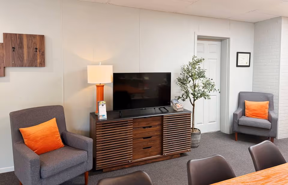 Cozy living room lounge with two gray armchairs, orange cushions, TV on wooden cabinet, potted plant.