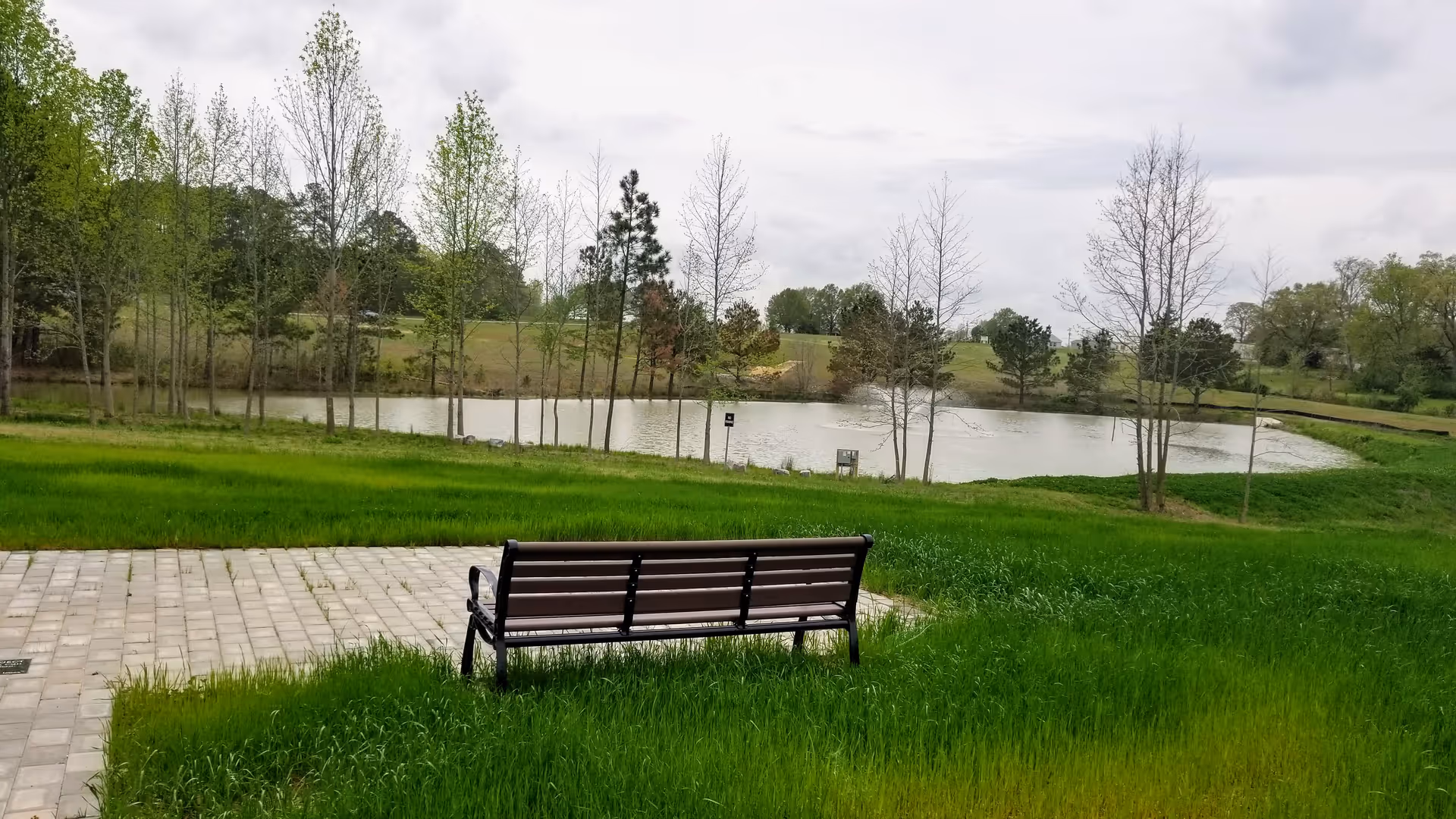 A wooden bench on a paved path beside a pond with trees.
