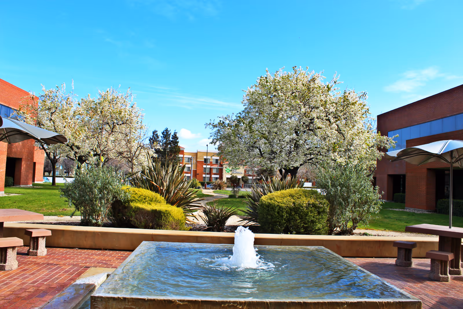Sunny outdoor courtyard with a central fountain, trees, benches, and brick facility buildings.