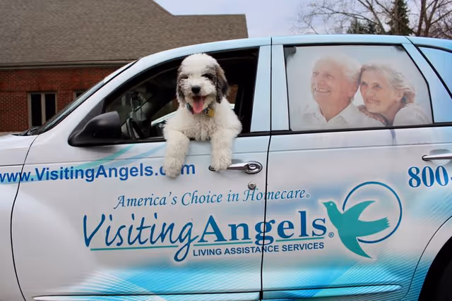 A fluffy puppy sticks its head out of a branded Visiting Angels van.