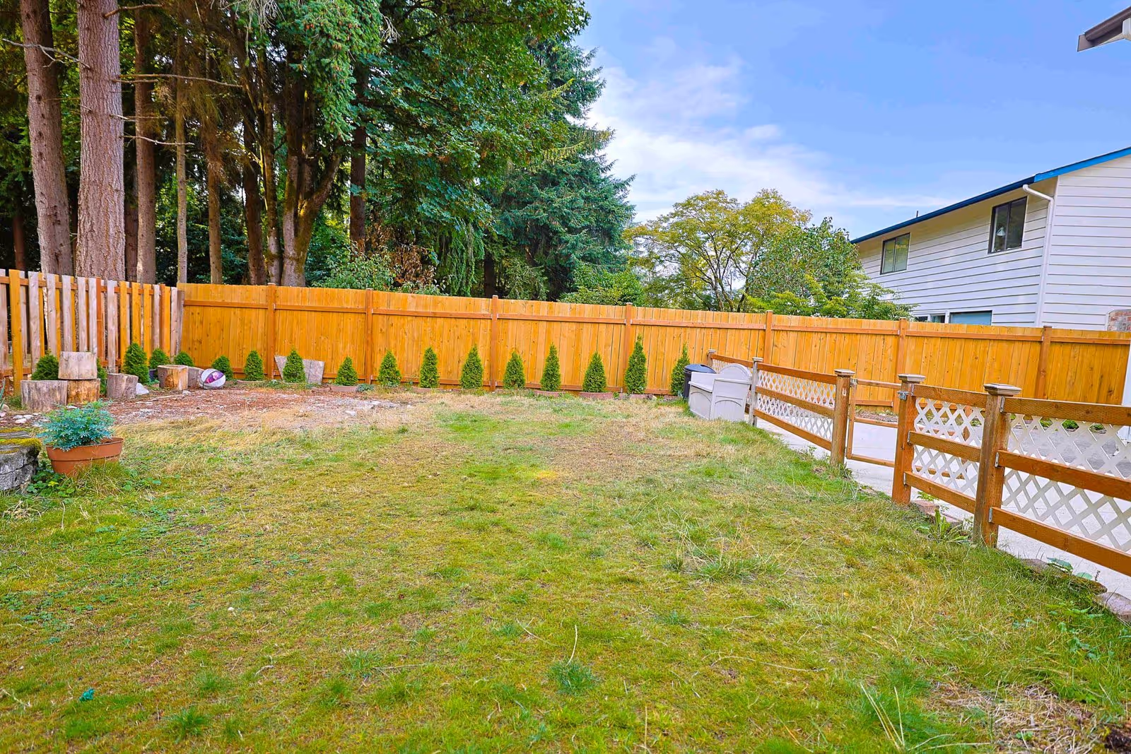 Backyard with a wooden fence, potted plants, and a lattice deck area beside a house.