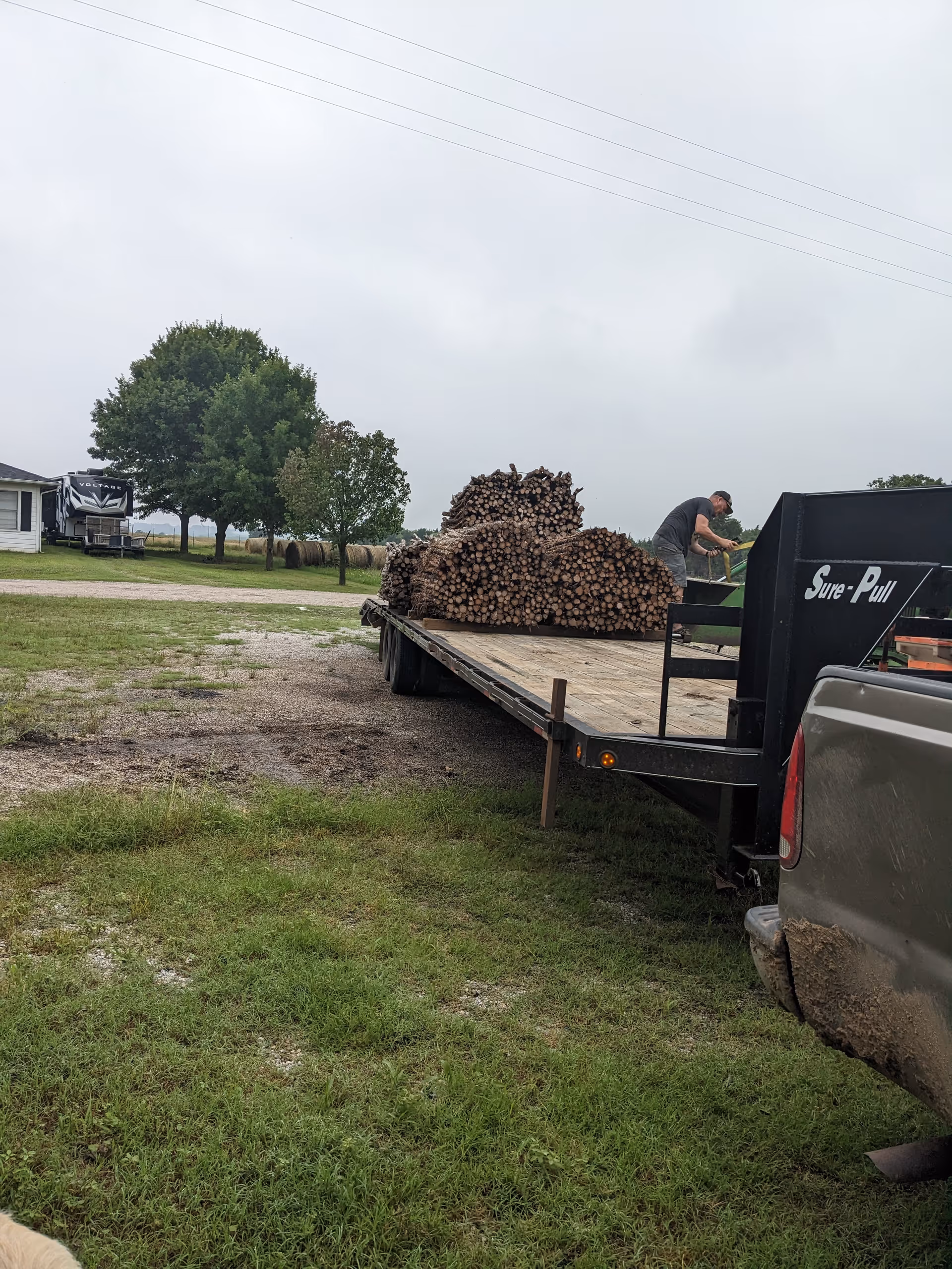 A trailer loaded with stacked logs on a rural property, with a person nearby.