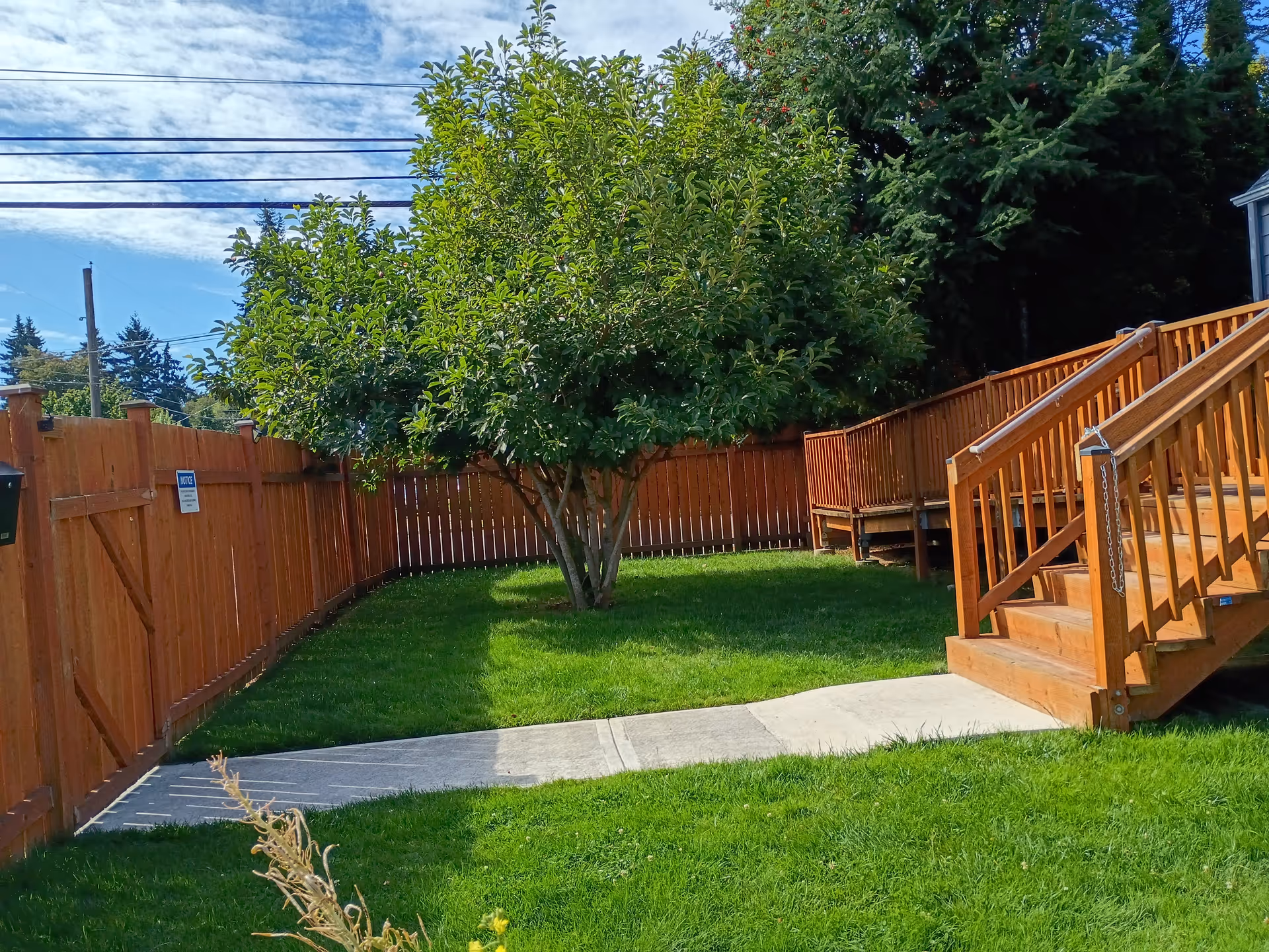 Backyard with a tree, green lawn, wooden fence, and a raised deck with stairs.