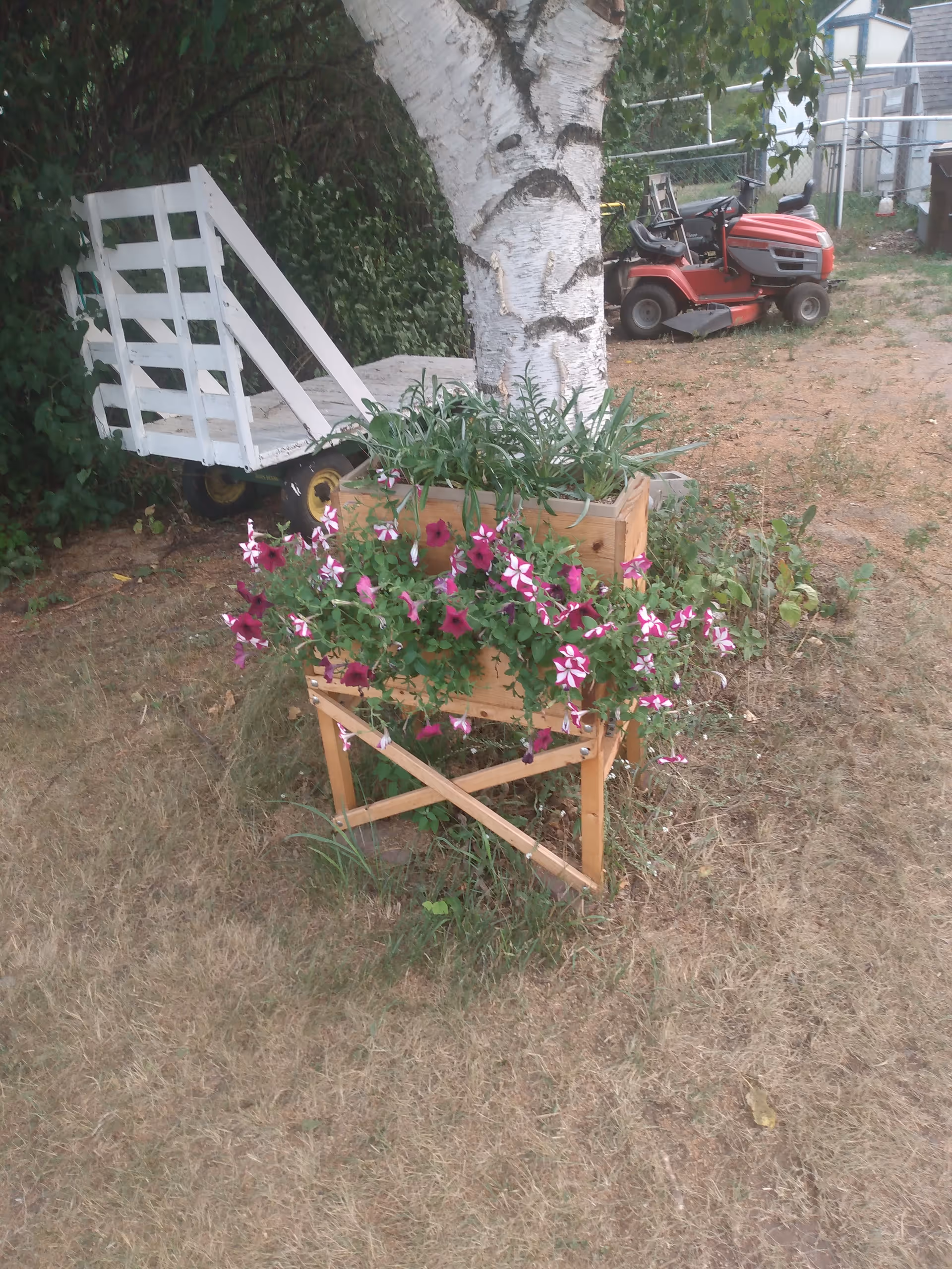 Outdoor yard with planter boxes, flowers around a tree, and a red lawn mower in background.