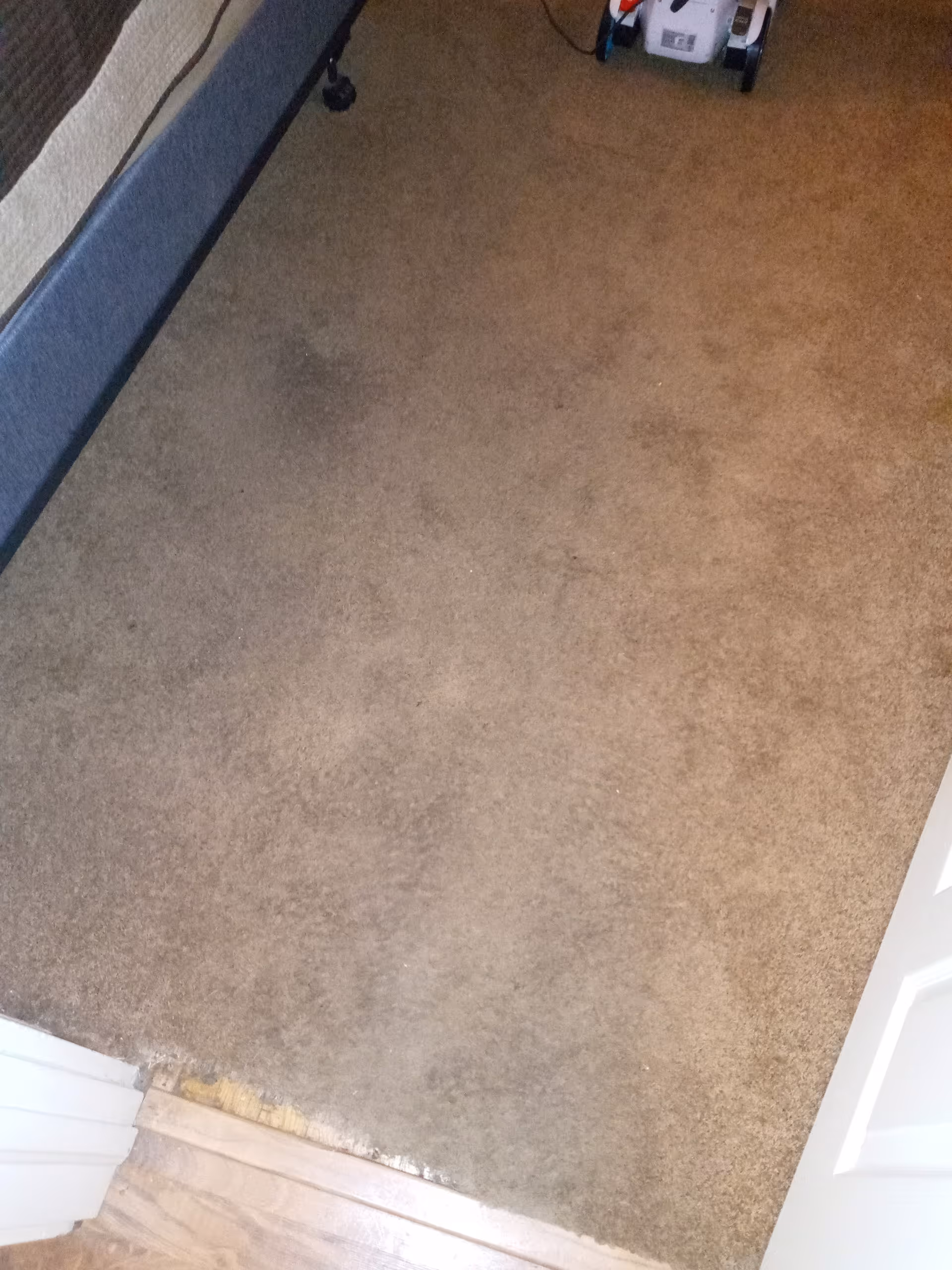 Carpeted hallway interior with cleaning equipment near stairs.