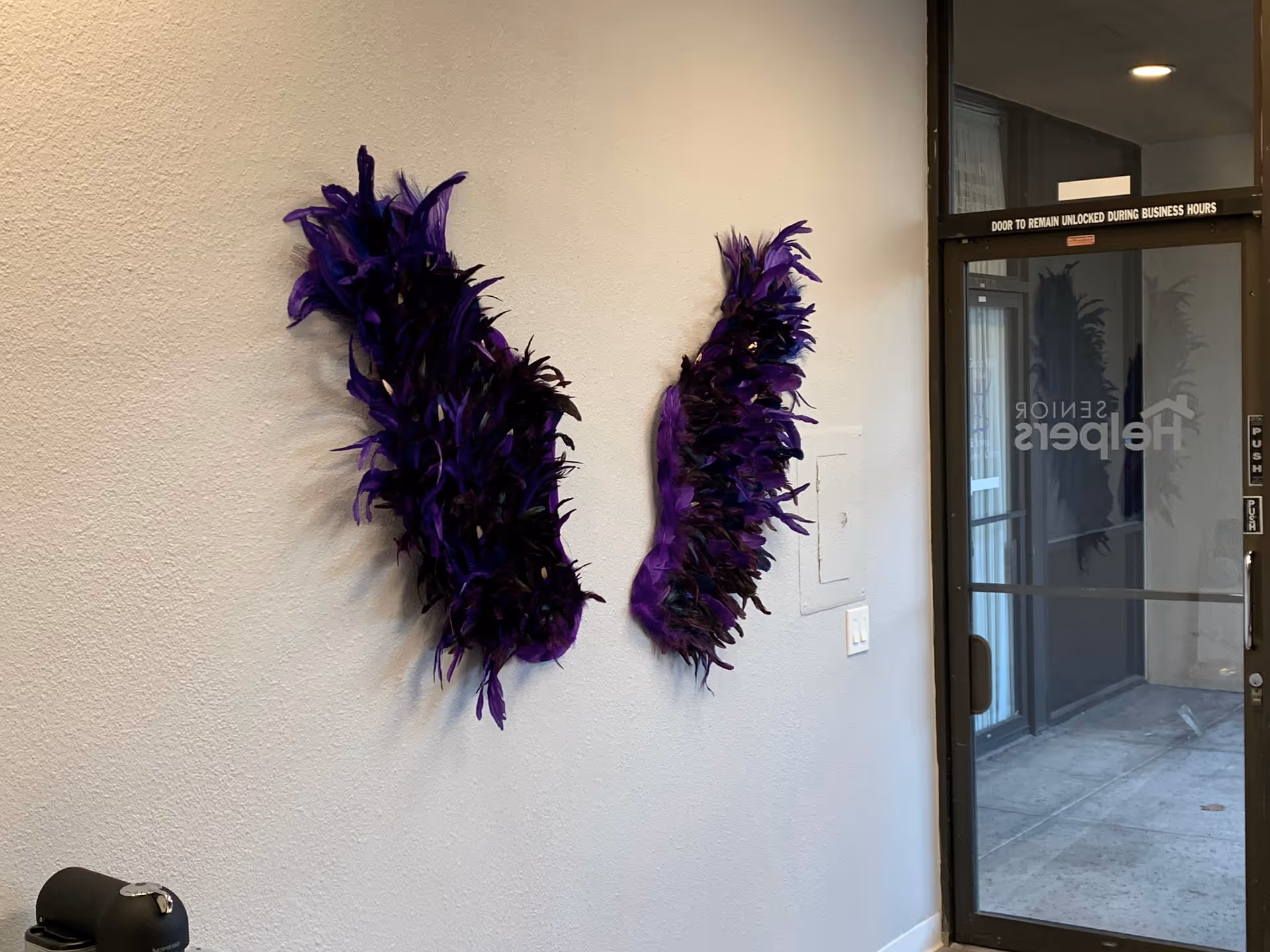 Interior wall with two purple feather decorations beside a glass door in a senior facility.