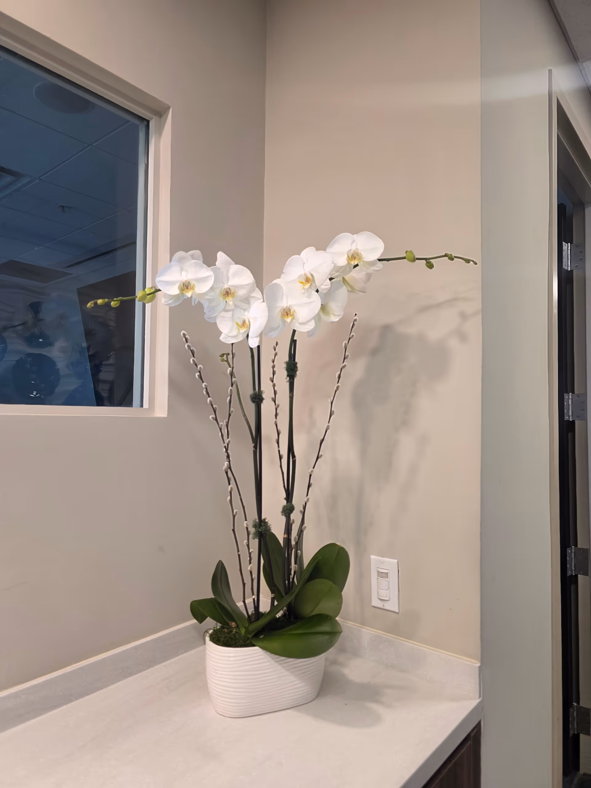 White orchid in a white pot rests on a counter beside a window.