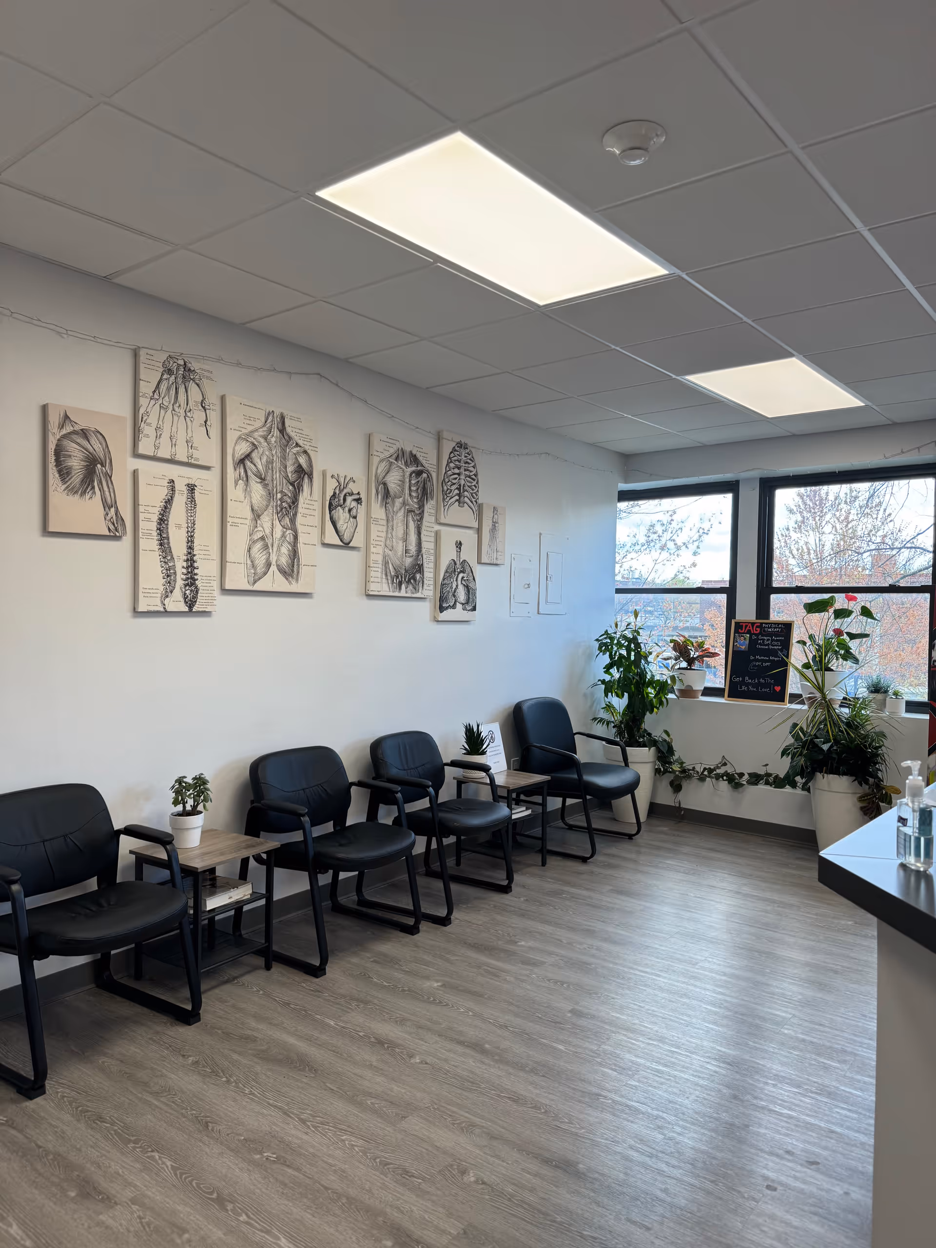 Row of black chairs along a wall, anatomical posters, and plants by a window.
