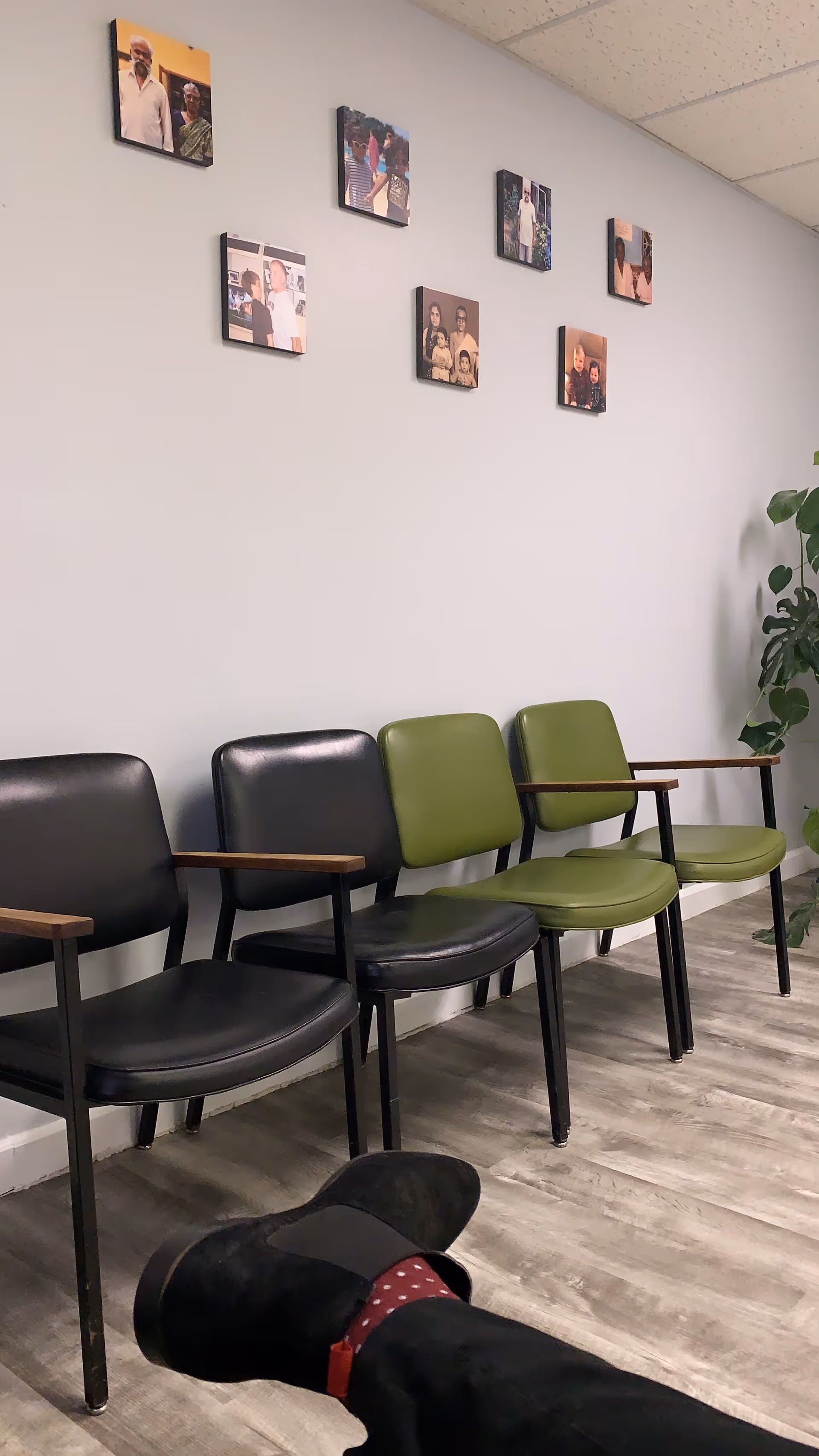 Row of waiting chairs along a wall with photo frames and a plant.