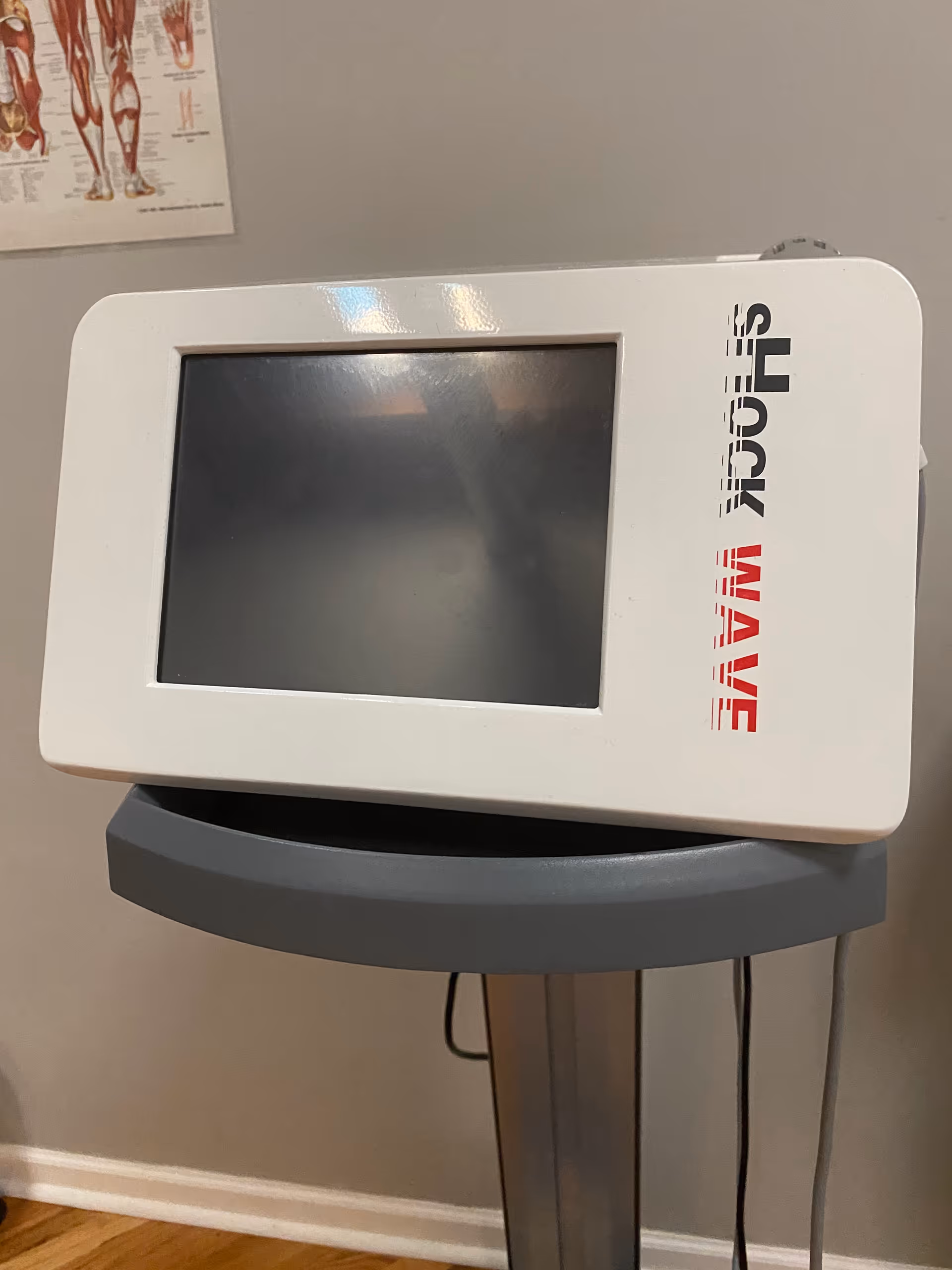 Medical display screen on a tall stand in Loop Physical Therapy treatment room.