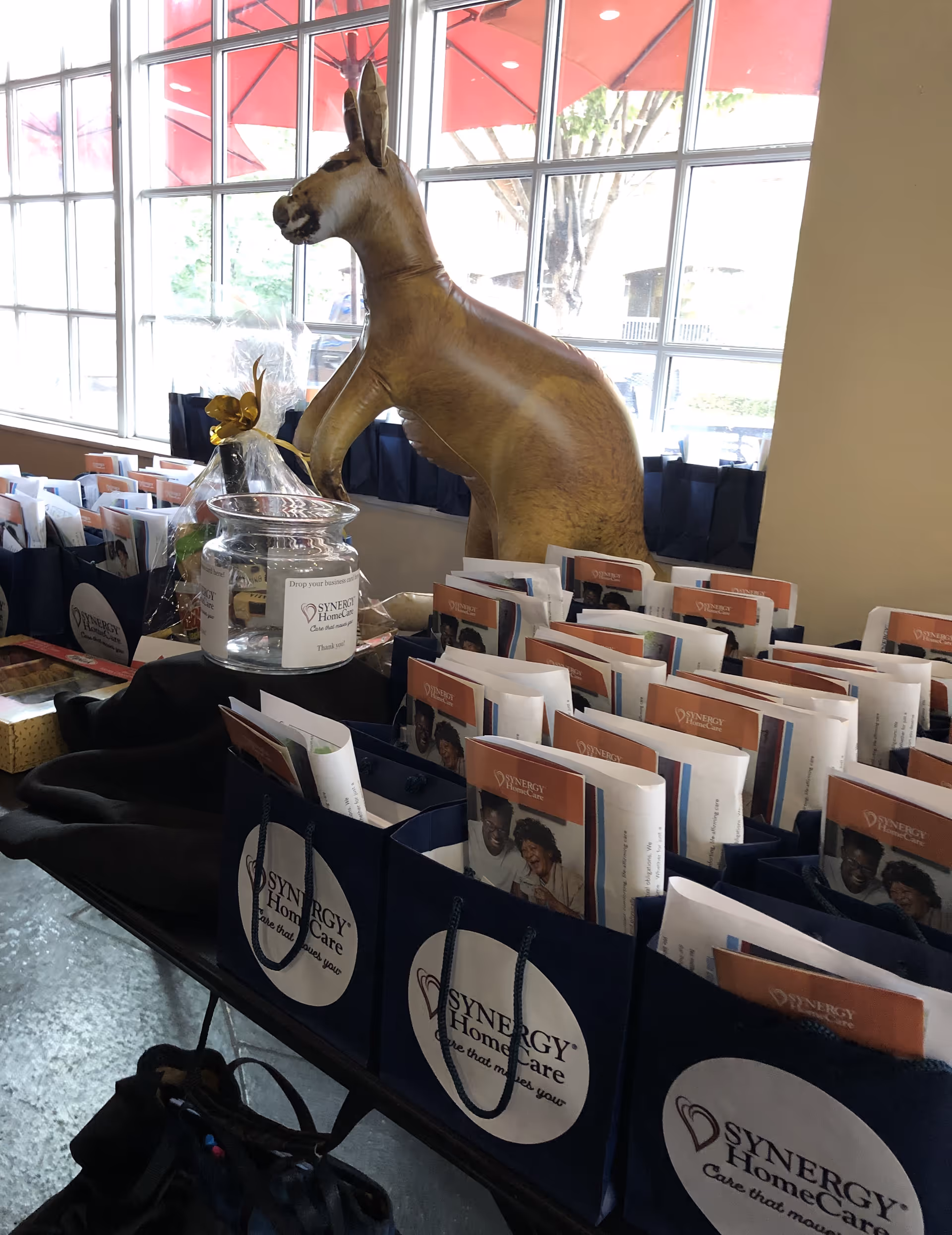 Interior display table with blue Synergy HomeCare gift bags, brochures, and a large decorative donkey statue.