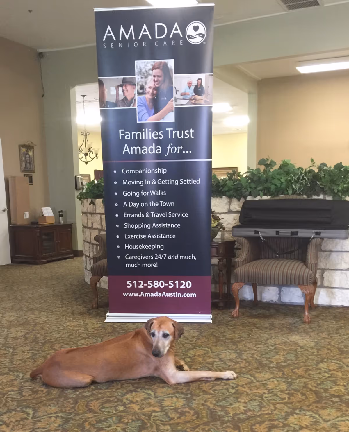 Lobby area with Amada Senior Care banner and a dog lying on carpet.