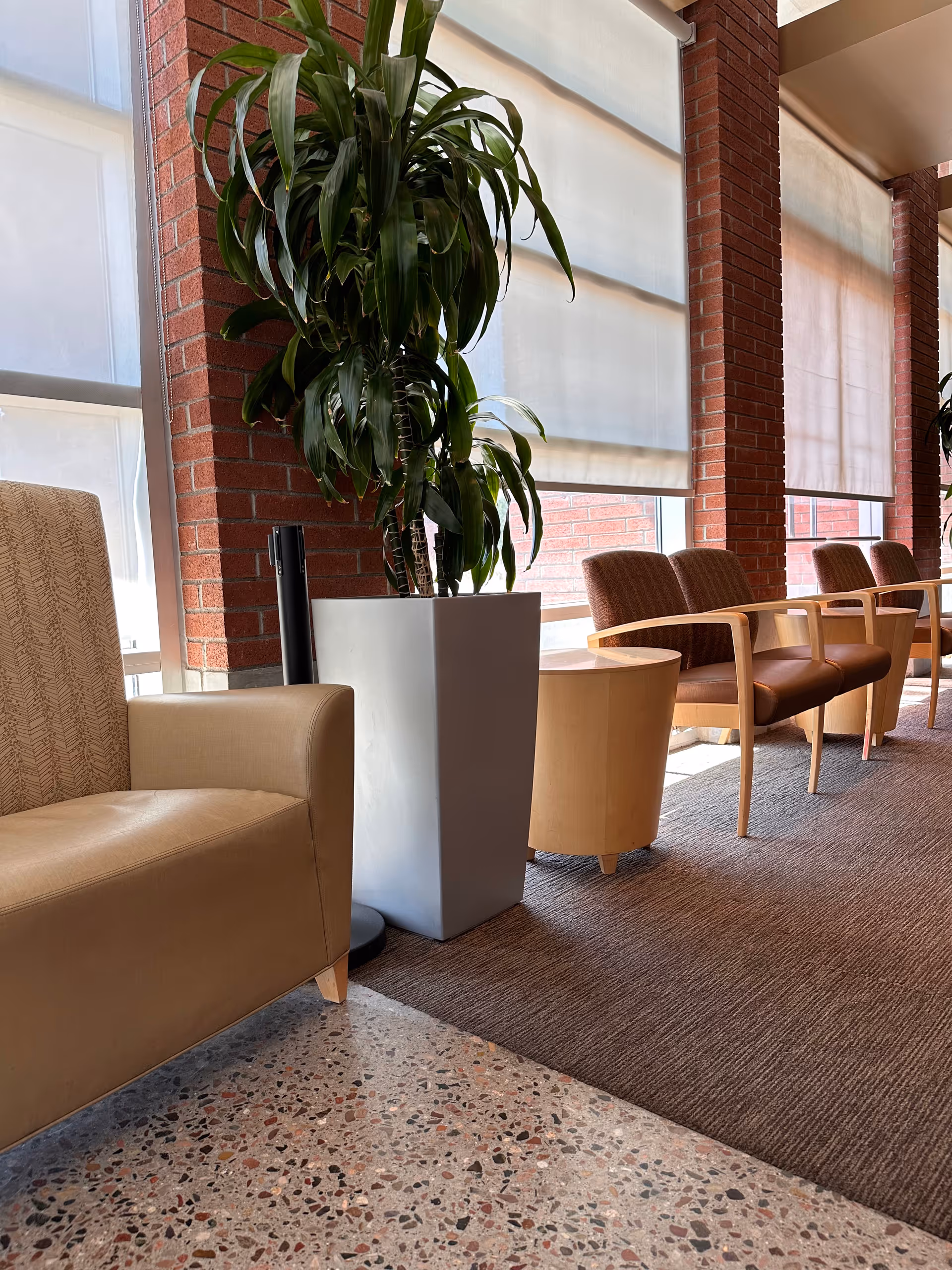 Indoor hospital waiting area with brown chairs, tall plant, brick columns, and large windows.