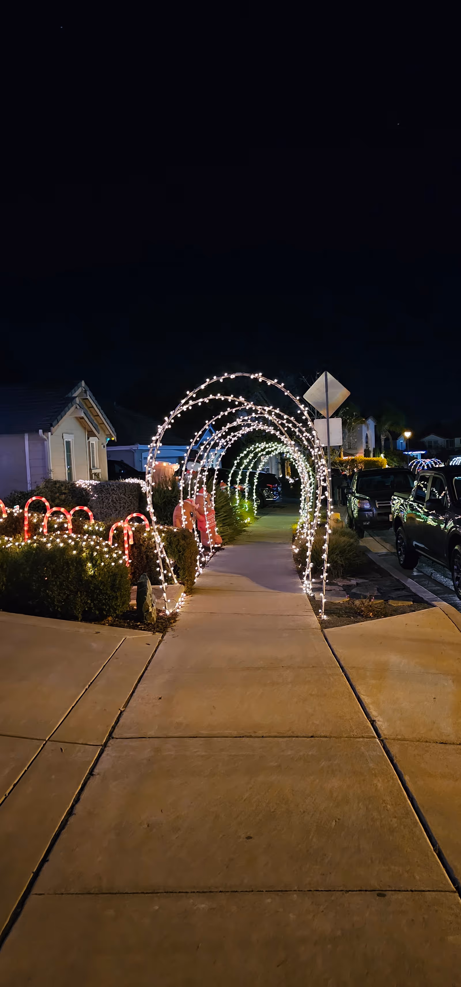 Night view of a sidewalk with lit arches and holiday lights outside a facility.