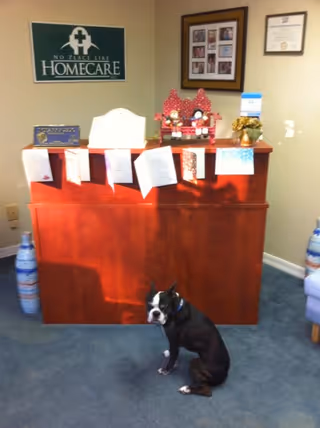 Reception area with a wooden desk, photos on wall, and a dog sitting on blue carpet.