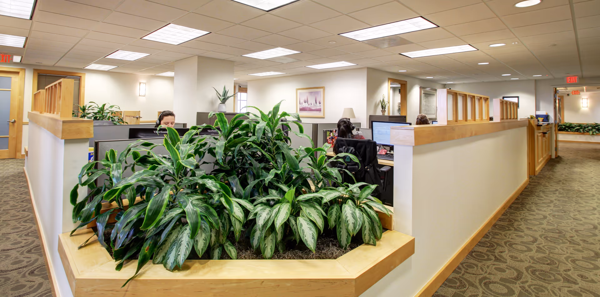 Open lobby area in a senior living facility with cubicles, desks, and large plants.