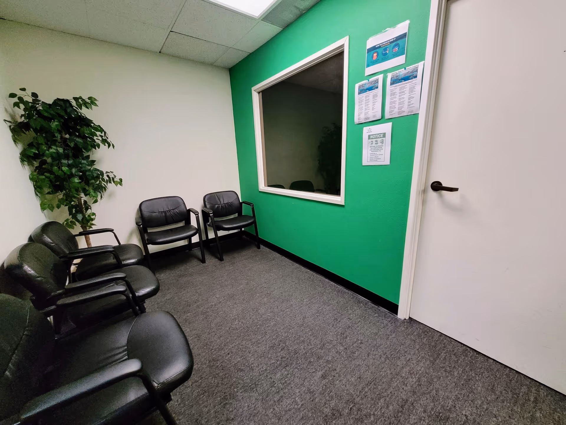 A small waiting area with black chairs, a green accent wall, and a plant.