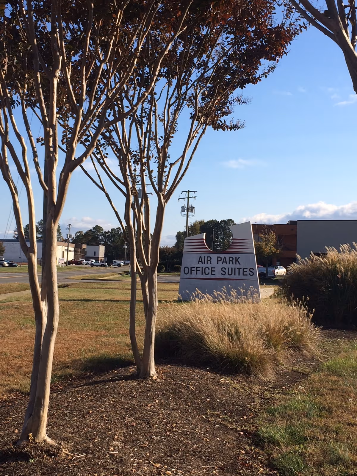 Outdoor scene with bare trees, tall grasses, and an Air Park Office Suites sign.