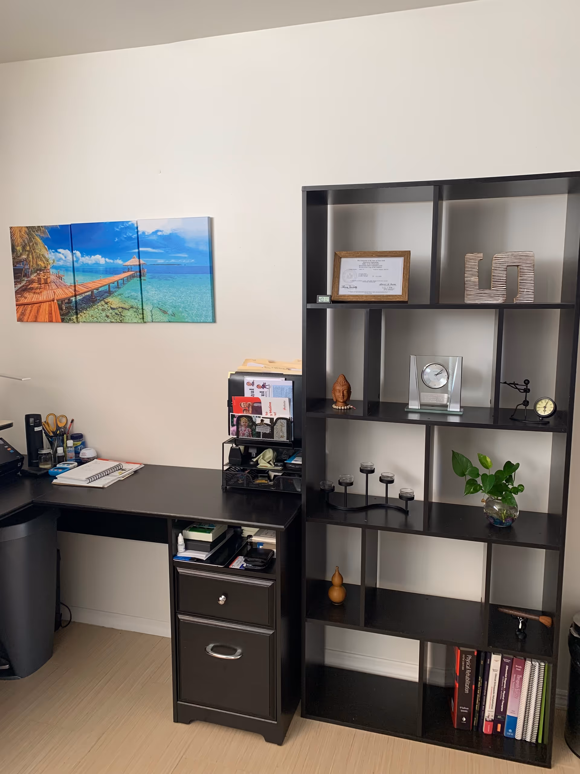 An office desk and black shelving unit filled with certificates, decor, and a plant.
