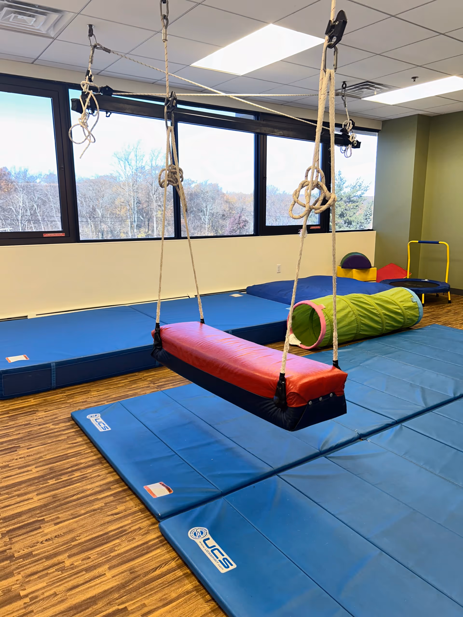 Indoor sensory gym with hanging swings, ropes, and padded mats near large windows.