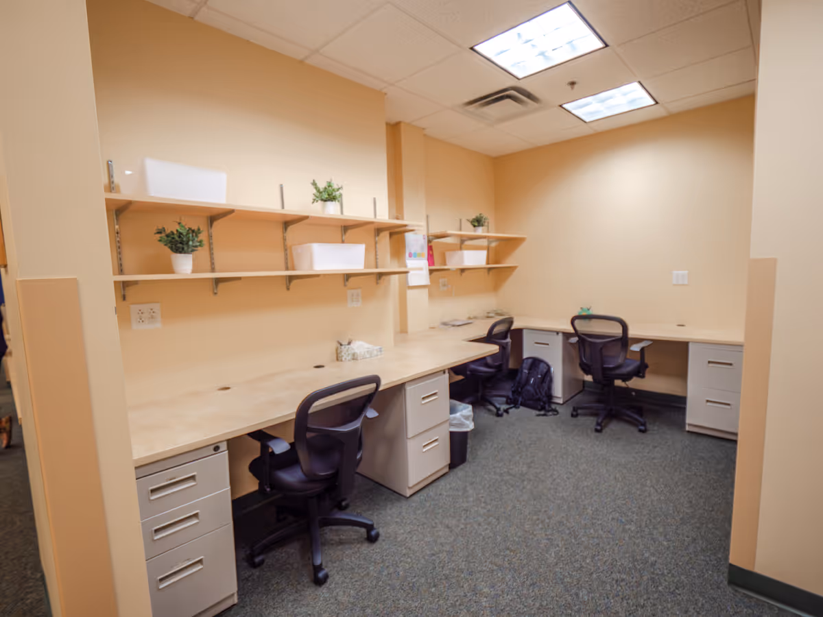 A shared office workspace with desks, chairs, shelves, and potted plants.