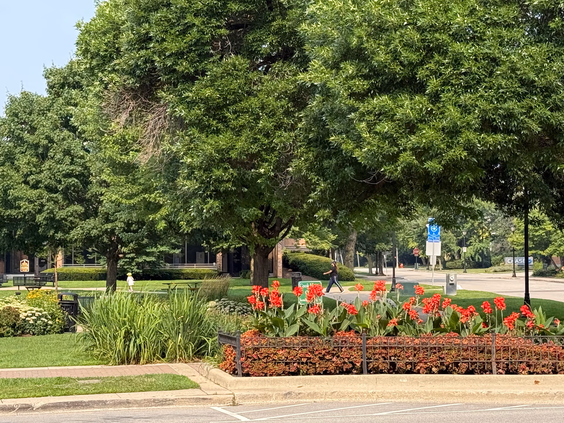 Outdoor campus landscape with large trees, flower beds, benches, and a pedestrian walkway.