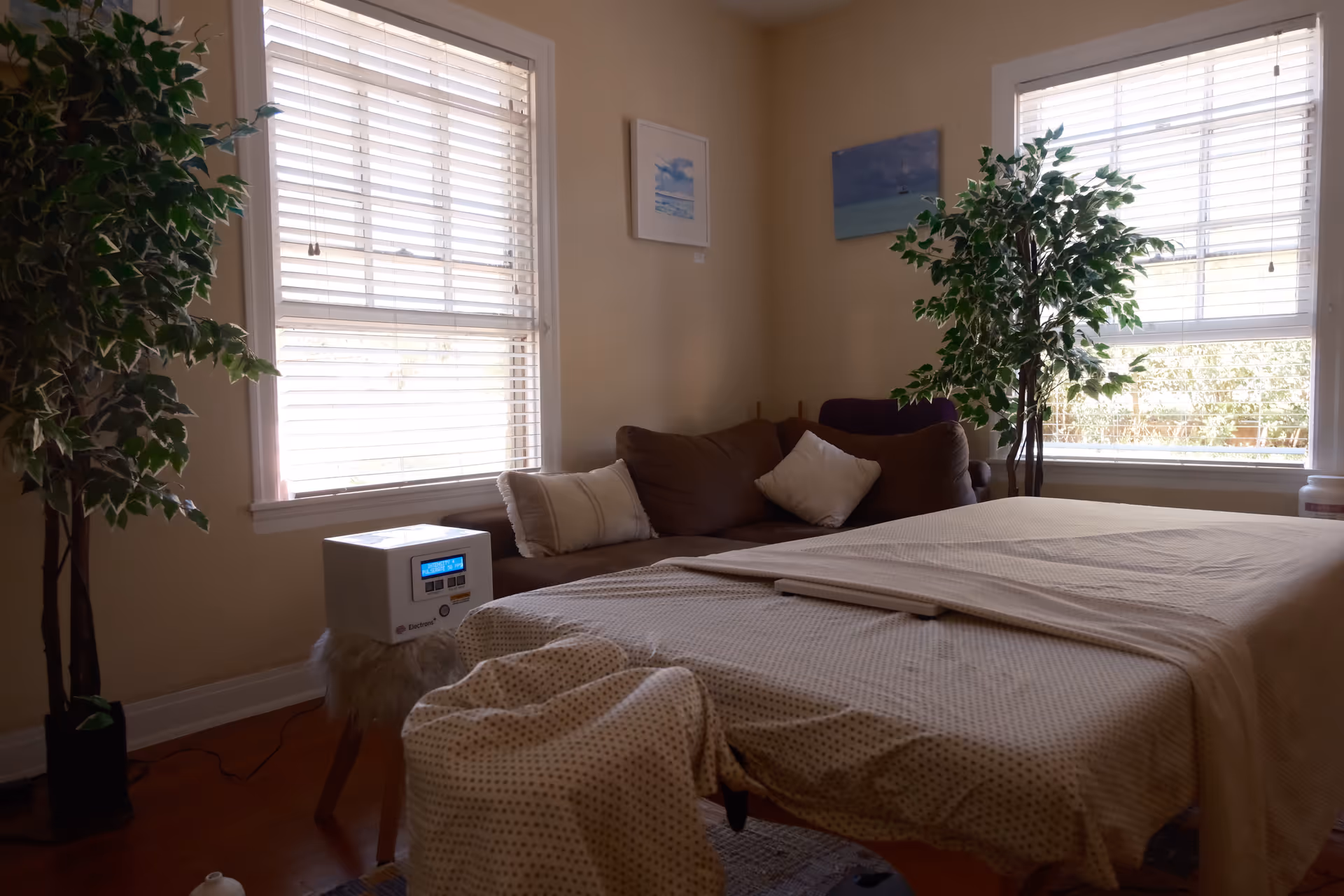 A softly lit massage room inside a senior facility with plants and windows.