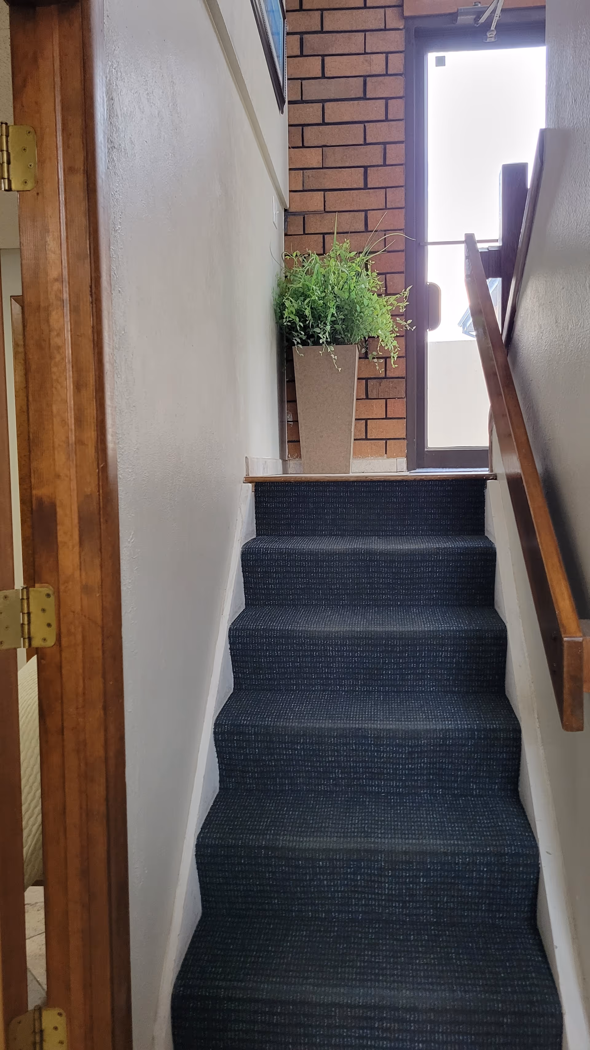 Narrow carpeted stairwell with a potted plant near a glass door.