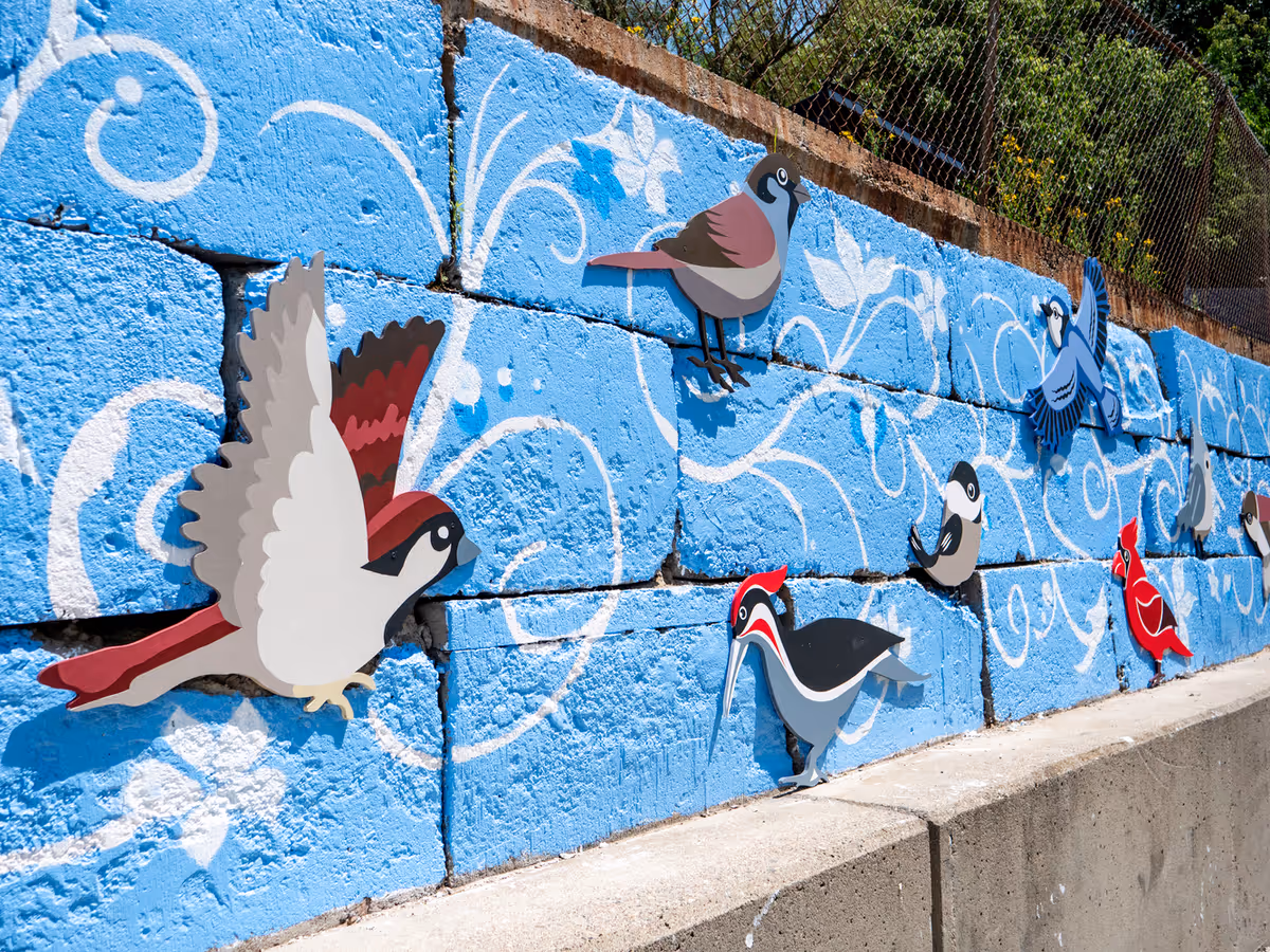 Blue mural on an outdoor wall featuring colorful cartoon birds and swirls.