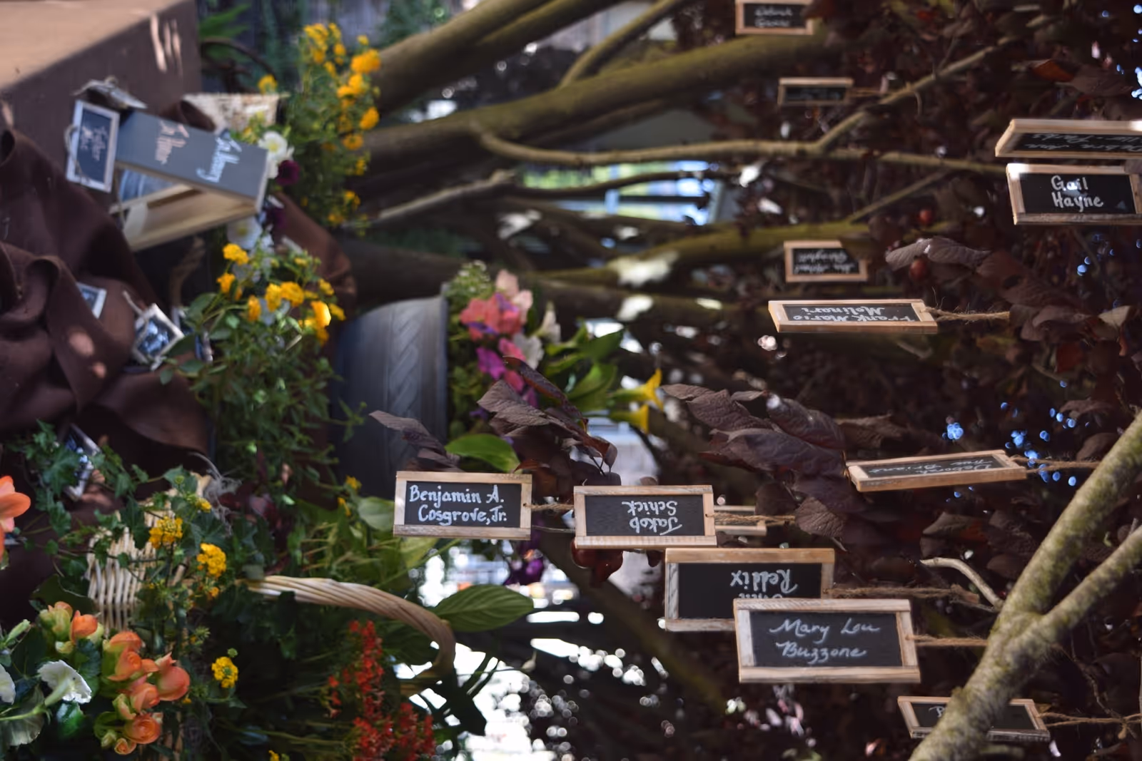 Colorful garden with numerous small chalkboard plant labels hanging from tree branches.