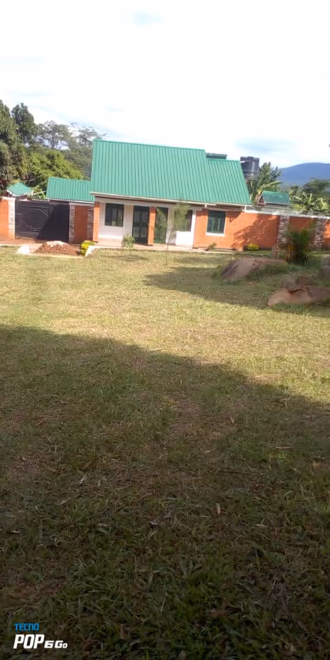Exterior view of a brick building with a green metal roof and lawn