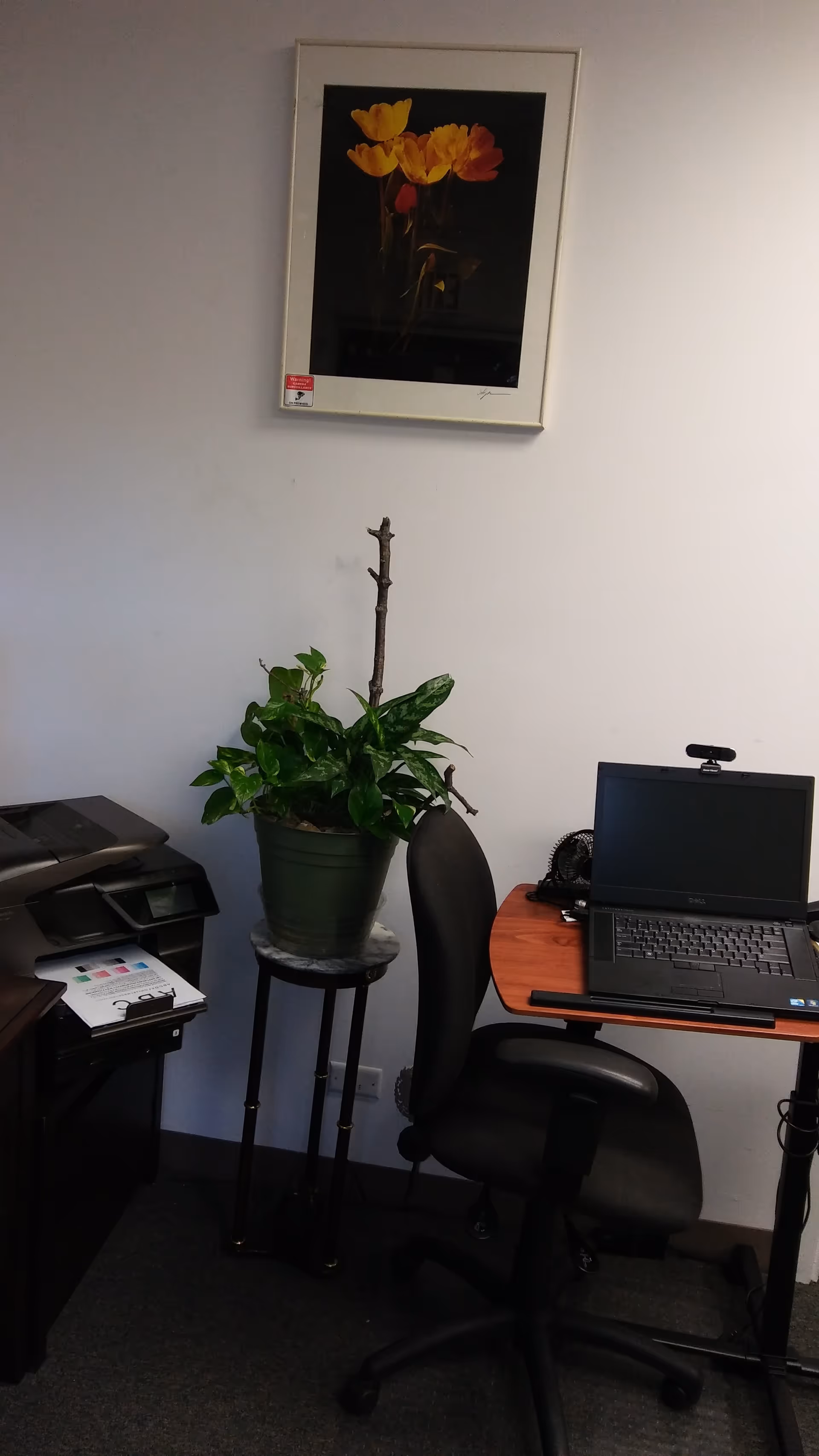 Office corner with laptop desk, printer, potted plant, and wall art.