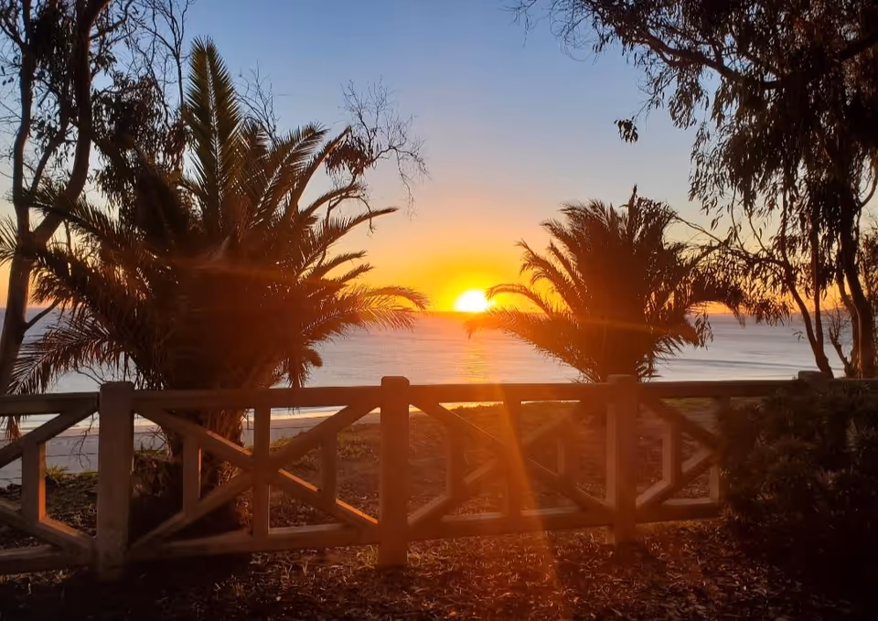 Sunset over water framed by palm trees and a wooden fence.