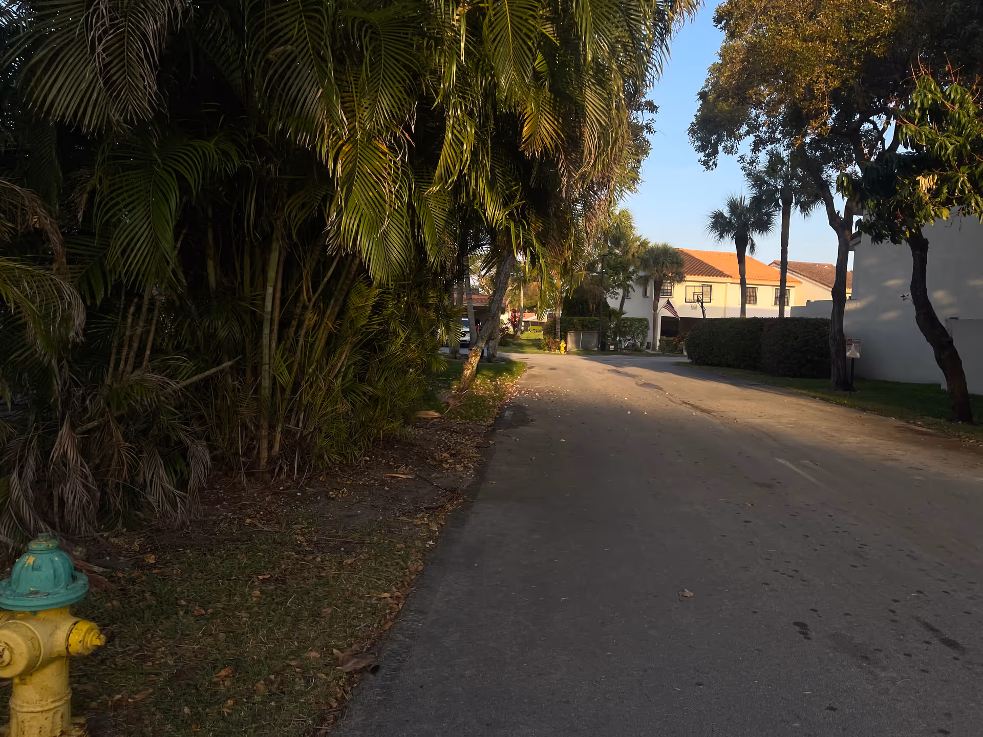 Paved driveway lined with palm trees leads to white facility buildings and a basketball hoop