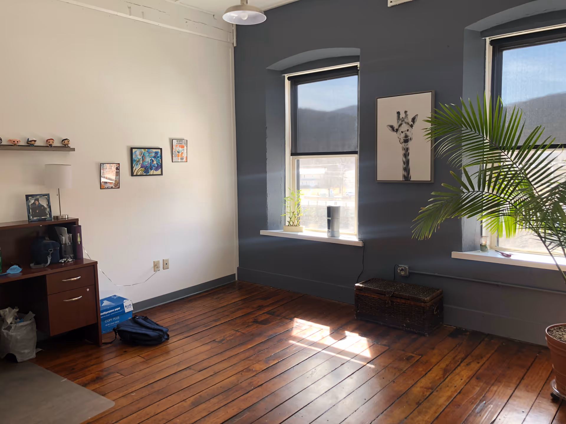 Sunlit indoor living room in a senior facility with blue wall, artwork, and a plant.
