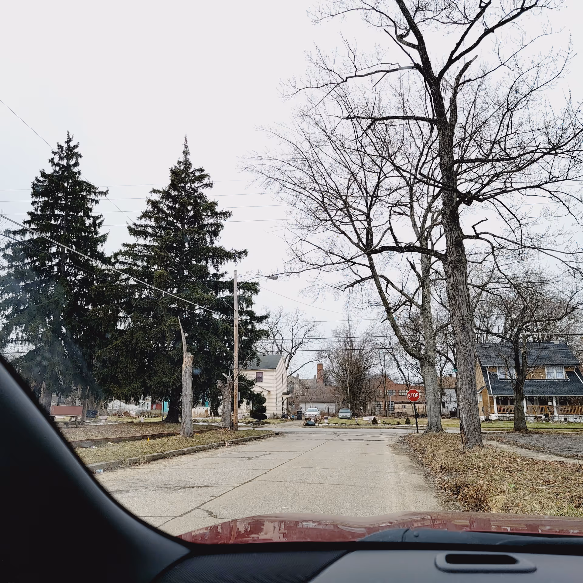 View from inside a car of a residential street with bare trees and houses.