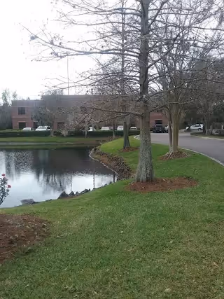 A grassy outdoor area with a pond, trees, and a parking lot beside a building.