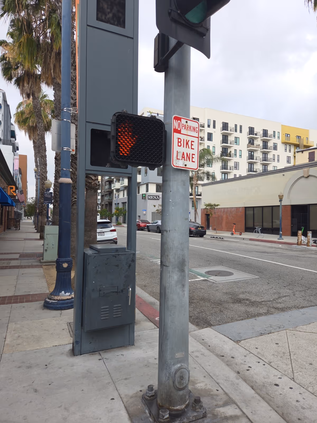 Urban street corner with traffic light, bike-lane sign, palm trees, and buildings