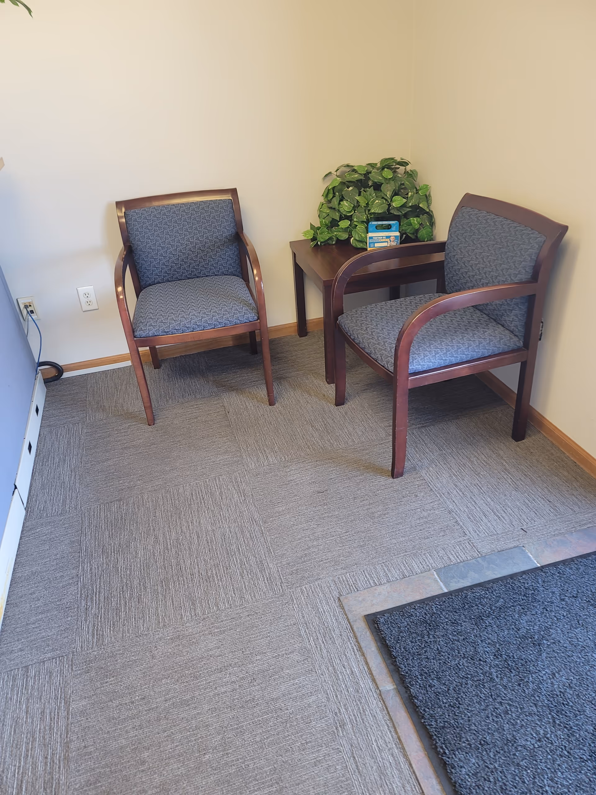 Two blue chairs flank a small table with a plant in a corner.
