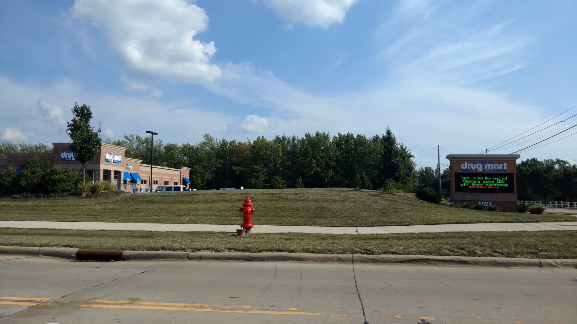 Exterior view of Discount Drug Mart storefront with grassy median, sidewalk, and blue sky.
