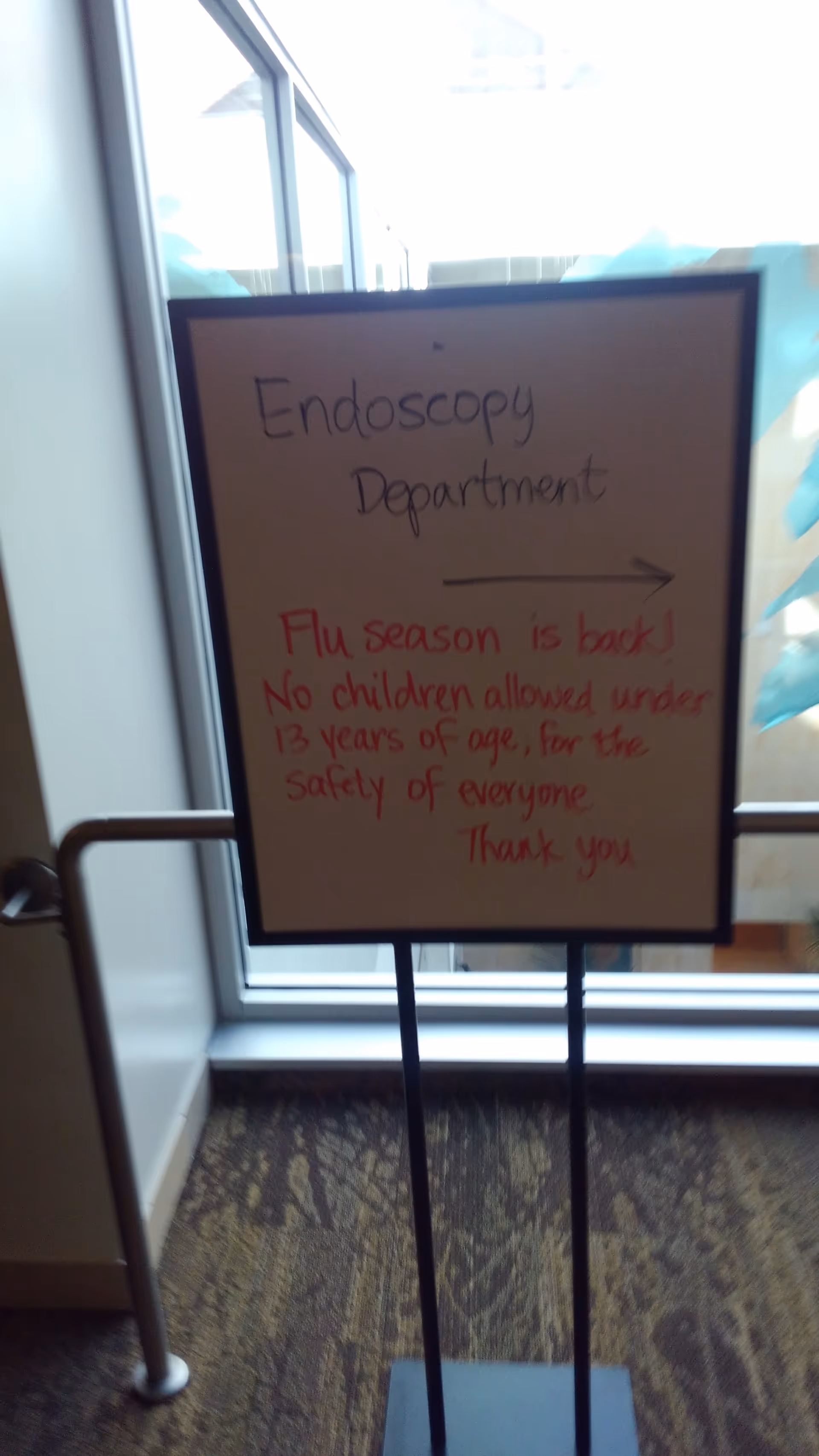 Indoor signboard for Endoscopy Department in a hospital hallway with flu-season notice.