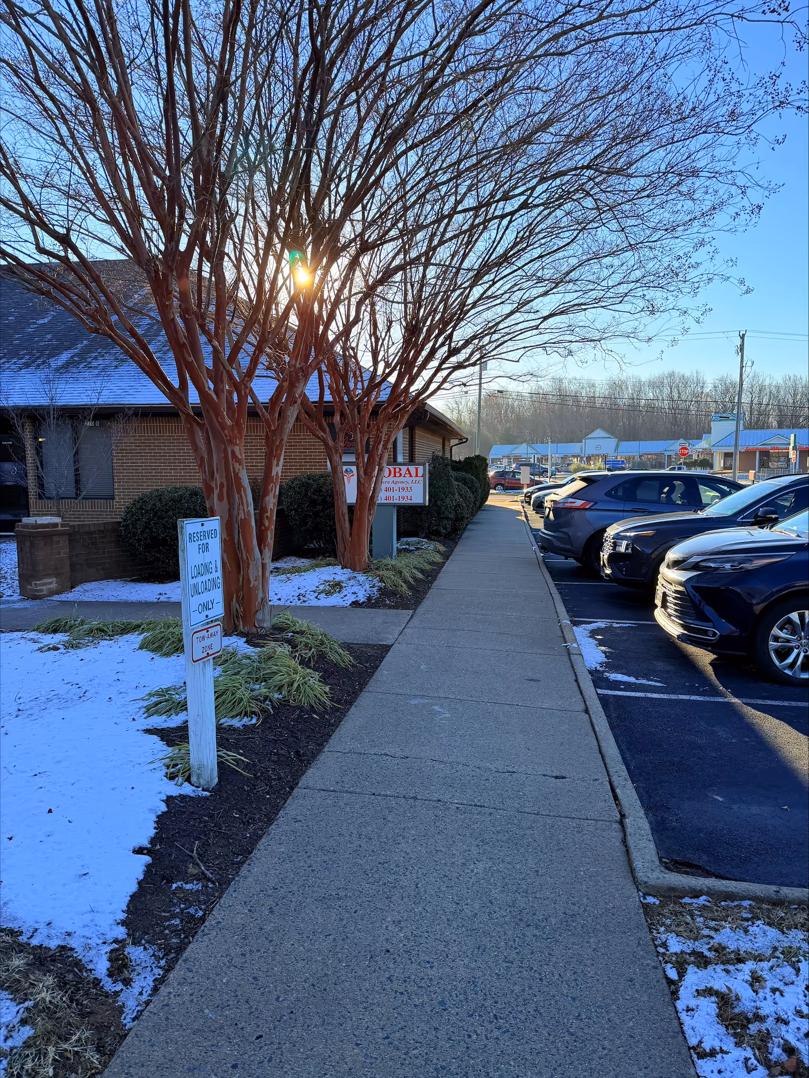 Exterior view of Global Healthcare Agency, LLC with sidewalk, trees, and parked cars.