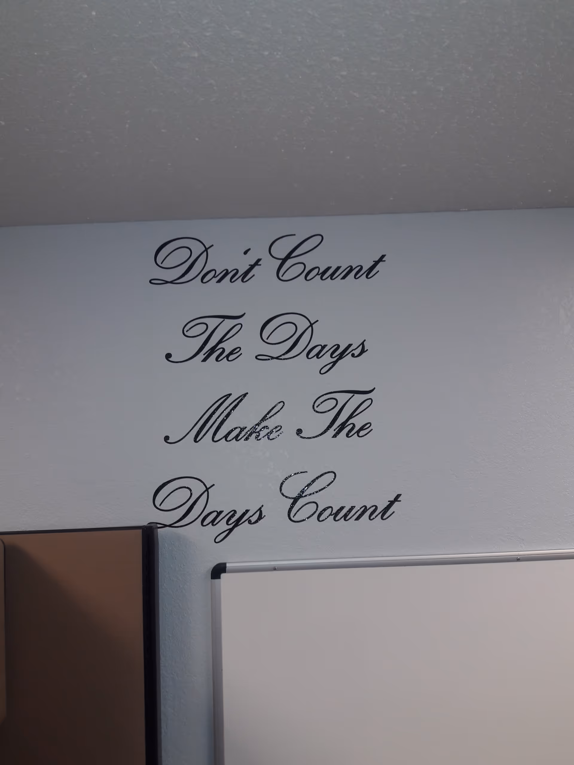 Wall decor with a cursive quote: Don't Count The Days Make The Days Count.