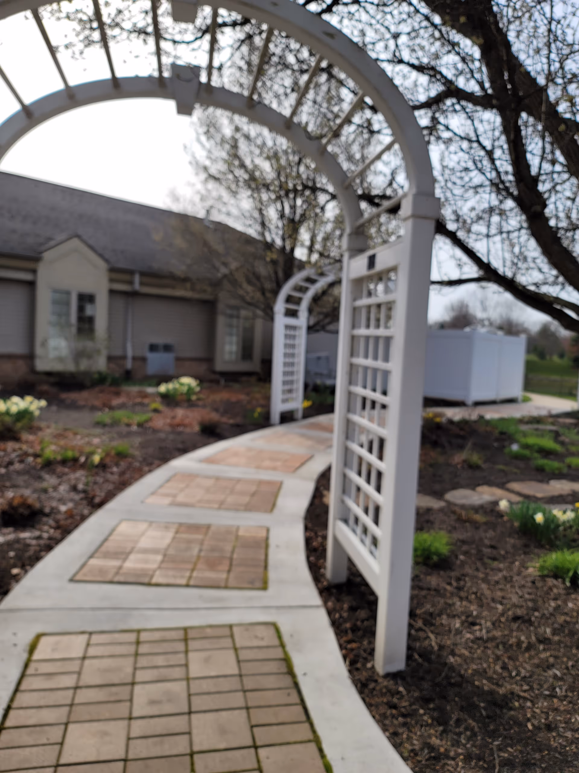 White arched trellis walkway winds through a landscaped outdoor area toward a building