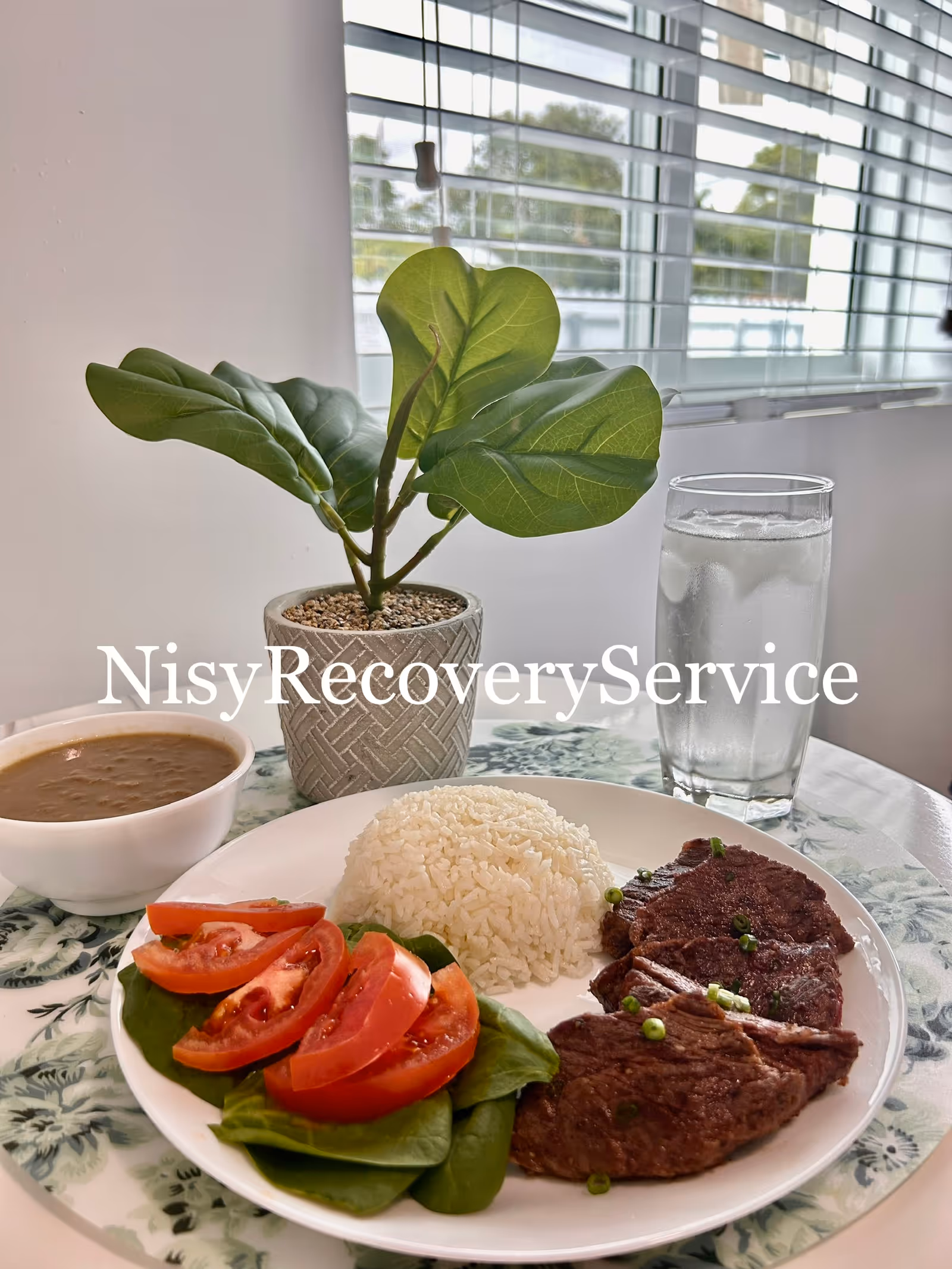 A plated meal with rice, steak, tomato salad beside a potted plant by a window.